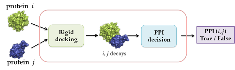 protein-protein interaction prediction